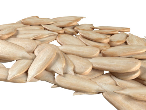 Sunflower seed pile v1 Modèle 3D