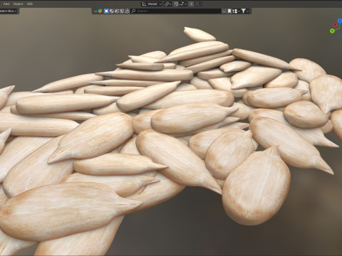 Sunflower seed pile v1 Modèle 3D