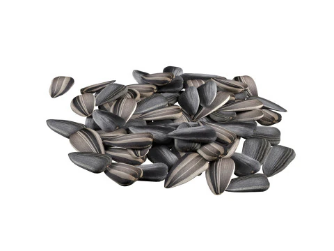Sunflower seed pile v2 3D Model
