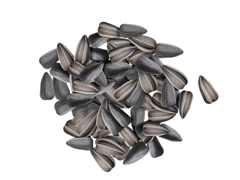 Sunflower seed pile v2 3D Model