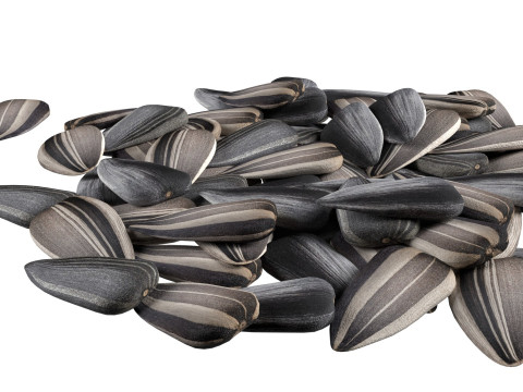 Sunflower seed pile v2 3D Model