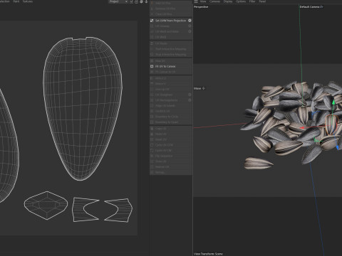 Sunflower seed pile v2 3D Model
