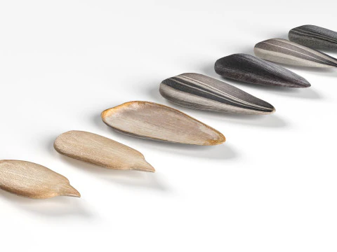 Sunflower seeds collection 3D Model