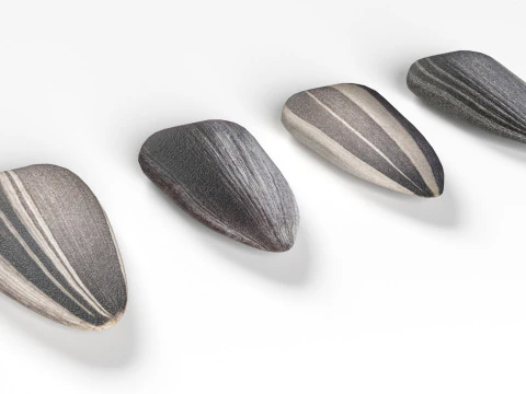 Sunflower seeds collection 3D Model