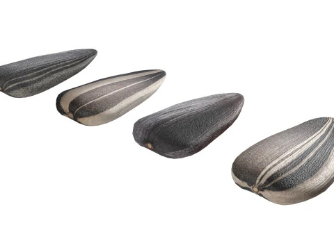 Sunflower seeds collection 3D Model