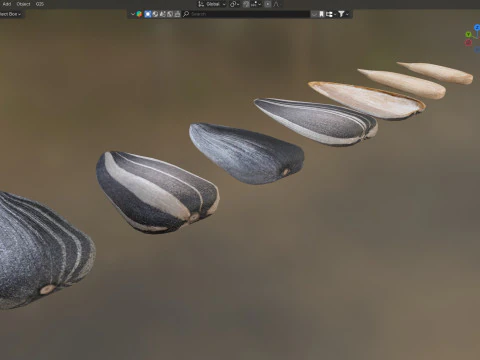 Sunflower seeds collection 3D Model