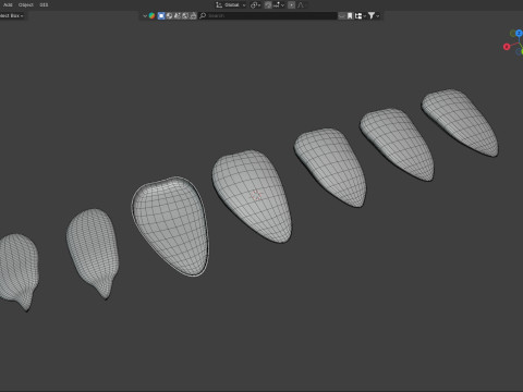 Sunflower seeds collection 3D Модель