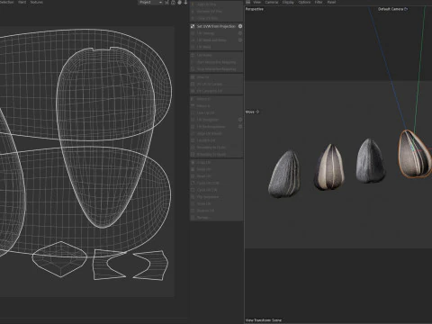 Sunflower seeds collection 3D Model