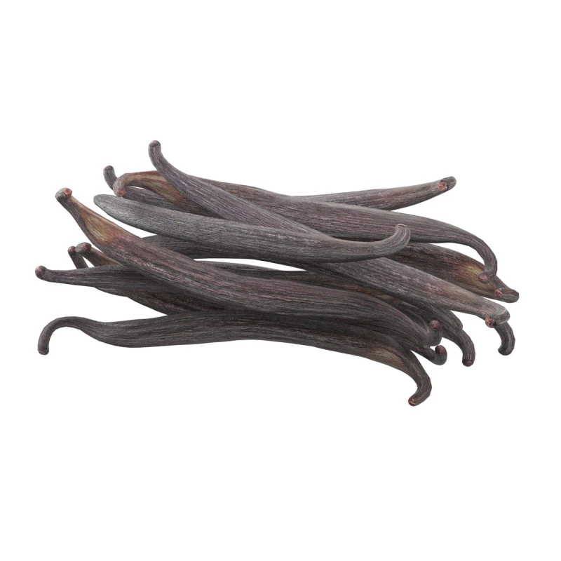 Vanilla Sticks Bunch pile 3D Model .c4d .max .obj .3ds .fbx .stl .blend 