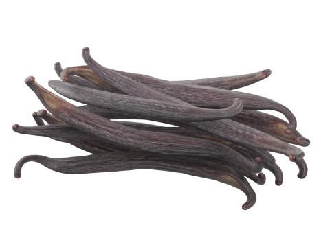 Vanilla Sticks Bunch pile 3D Модель