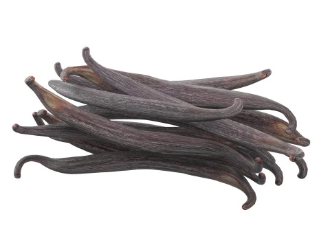 Vanilla Sticks Bunch pile 3D Model