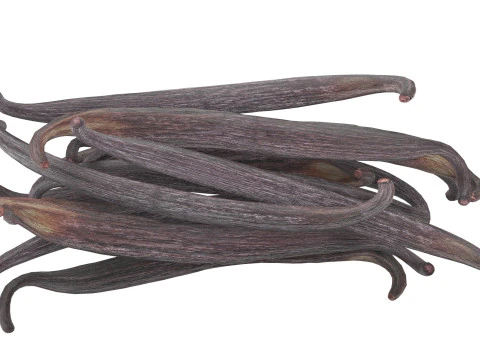 Vanilla Sticks Bunch pile 3D Model