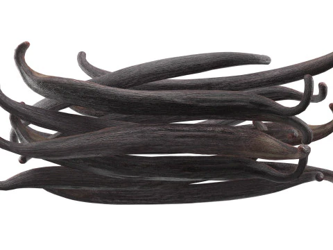 Vanilla Sticks Bunch pile 3D Model