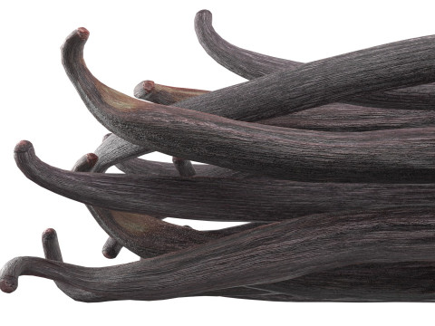 Vanilla Sticks Bunch pile 3D Модель