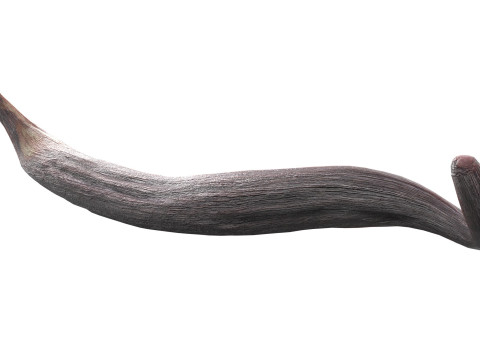 Vanilla Sticks Bunch pile 3D Модель