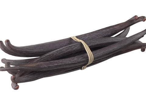 Vanilla Sticks Bunch v1 3D Model