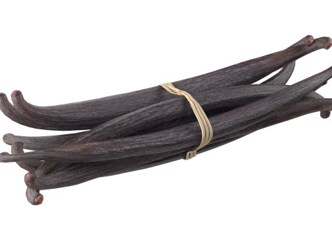 Vanilla Sticks Bunch v1 3D Model