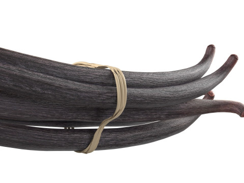 Vanilla Sticks Bunch v1 3D Model