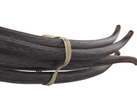 Vanilla Sticks Bunch v1 3D Model