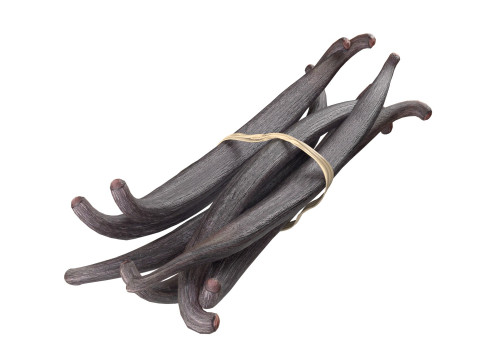 Vanilla Sticks Bunch v1 3D Model