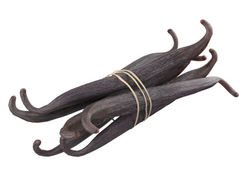 Vanilla Sticks Bunch v2 3D Модель