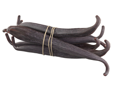 Vanilla Sticks Bunch v2 Modello 3D