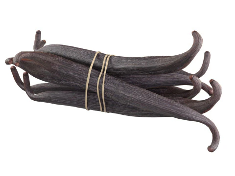 Vanilla Sticks Bunch v2 3D Model