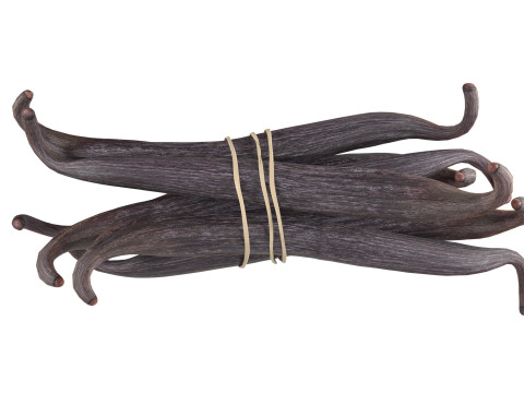 Vanilla Sticks Bunch v2 Modello 3D
