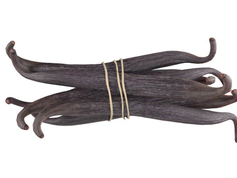 Vanilla Sticks Bunch v2 3D Model
