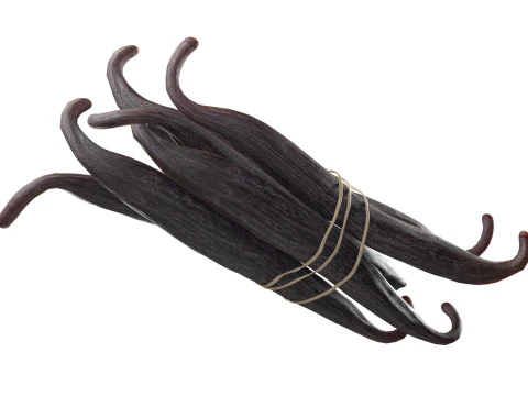 Vanilla Sticks Bunch v2 3D Model