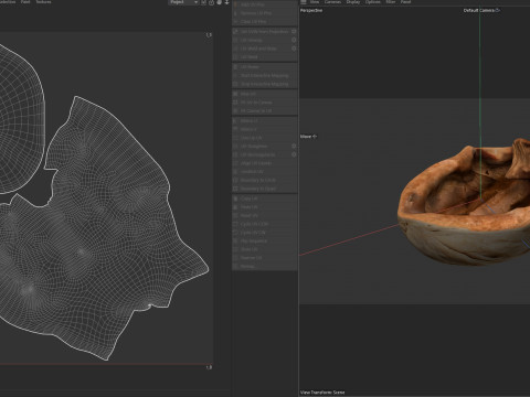 Walnut shell 3D 模型