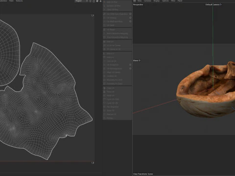 Walnoot schaal 3D Model