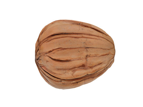 Walnut v1 3D Модель