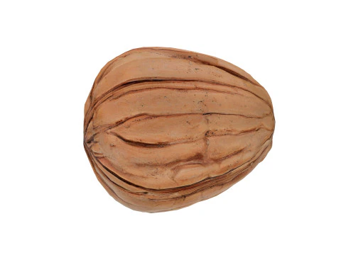 Walnut v1 3D Model