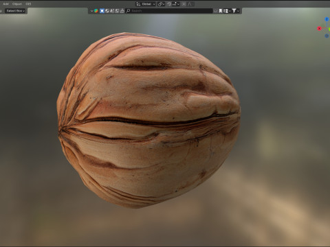Walnut v1 3D Модель