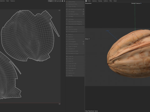 Walnut v1 3D Модель