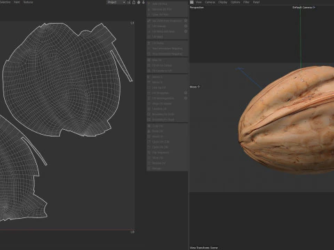 Walnut v1 3D Model