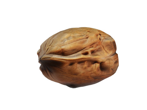 Walnut v2 Modelo 3D