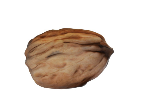 Walnut v2 Modelo 3D