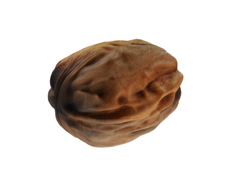 Walnut v2 Modelo 3D