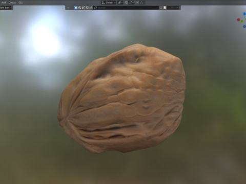 Walnut v3 3D Model