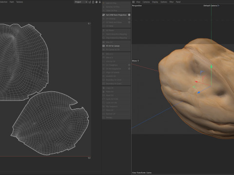 Walnut v3 3D Model