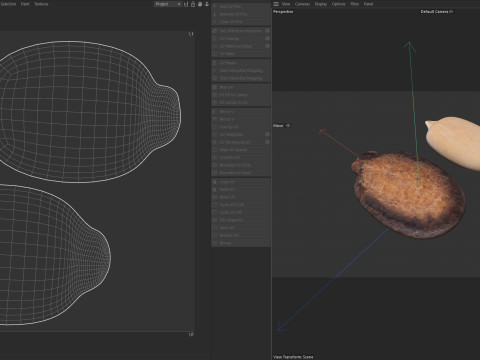 Watermelon Seed Modello 3D
