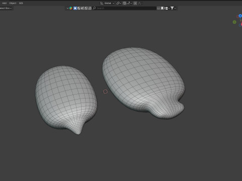 Watermelon Seed Modello 3D