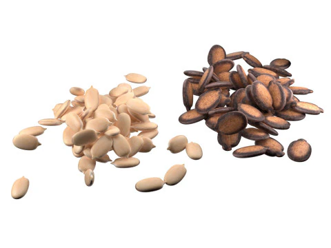 Watermeloenzaadstapel 3D Model