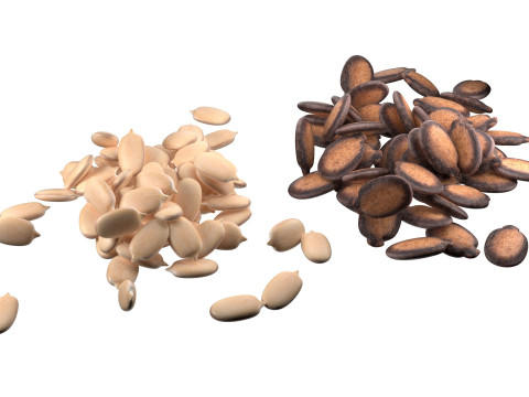 Watermelon seed Pile Modèle 3D