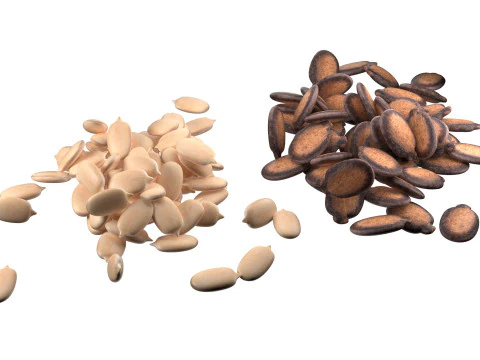 Watermelon seed Pile 3D Model