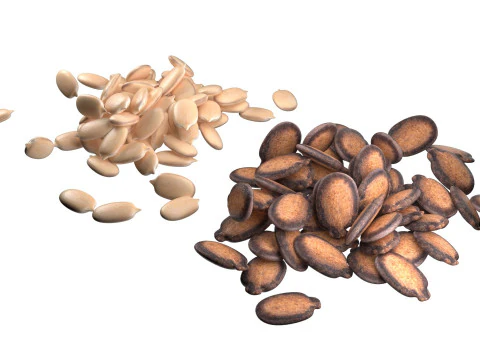 Watermelon seed Pile 3D Model