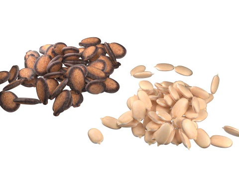 Watermelon seed Pile 3D Model