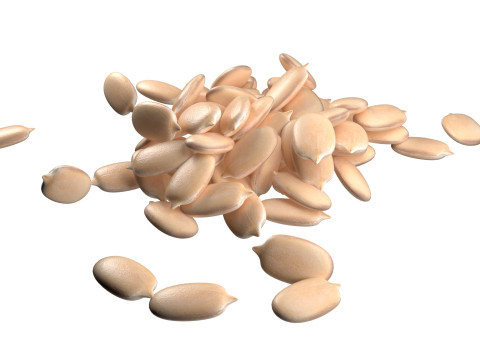 Watermelon seed Pile Modèle 3D